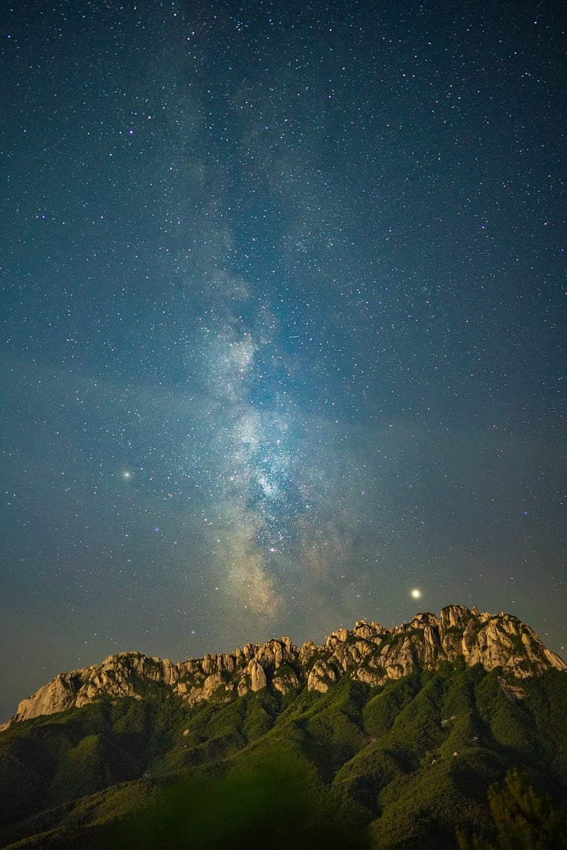 Moonlit Meadow